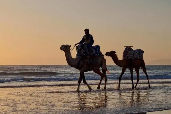 Maroc : Hôtel Fairmont Taghazout Bay
