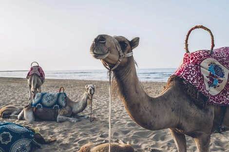 vol+hotel Sejour Iberostar Saidia 5* Maroc Oujda