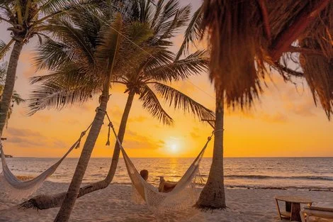 Mexique : Hôtel Petit Lafitte