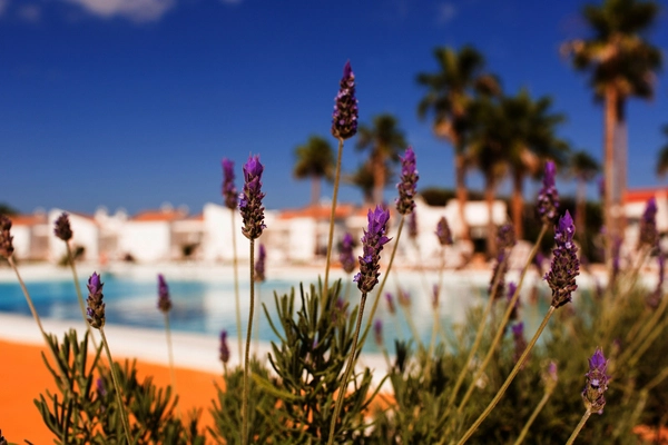 Minorque : Hôtel Sagitario Menorca Mar Apartamentos ( Only Adults )