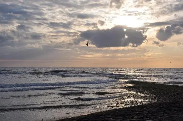 Plage - Fletcher Hotel Jan Van Scorel 4*