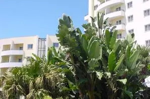 Madère-Funchal, Hôtel Suite Hotel Jardins D'ajuda