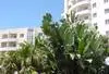 Facade - Suite Hotel Jardins D'ajuda 4* Funchal Madère
