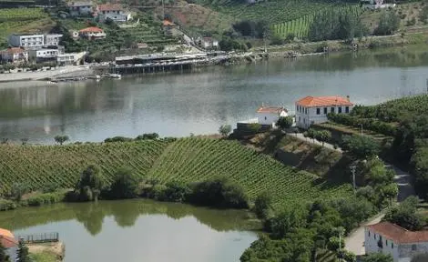 Portugal : Hôtel Folgosa Douro Hotel