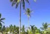 Autres - Baraza Resort Et Spa 5* Zanzibar Tanzanie