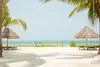Plage - Bwejuu Beach Palm Villa 3* Zanzibar Tanzanie