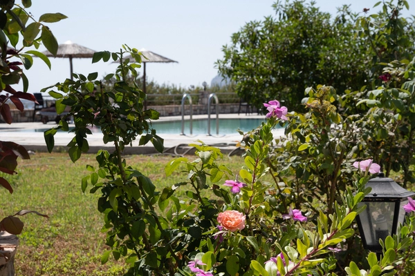 Rhodes : Hôtel Gardenia Hotel