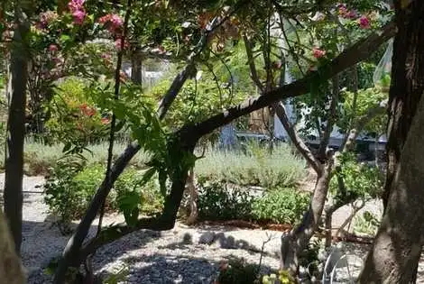 Rhodes : Hôtel George Beach Studios