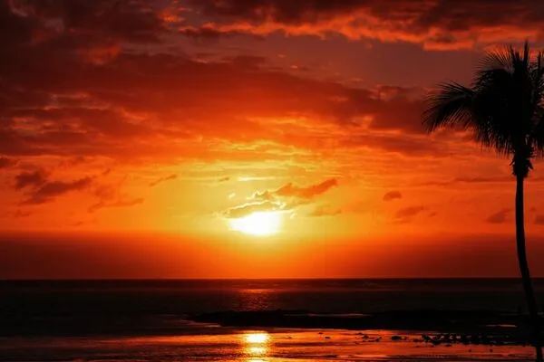 Rodrigues : Hôtel Ambre Resort & Spa