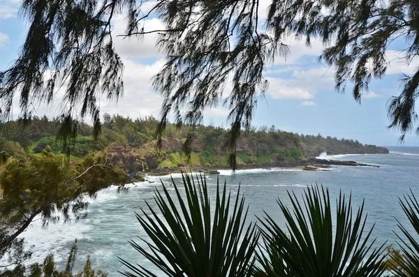 Rodrigues : Hôtel Andrea Lodges
