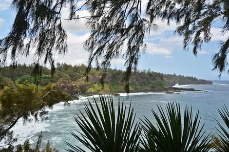 Rodrigues : Hôtel Andrea Lodges