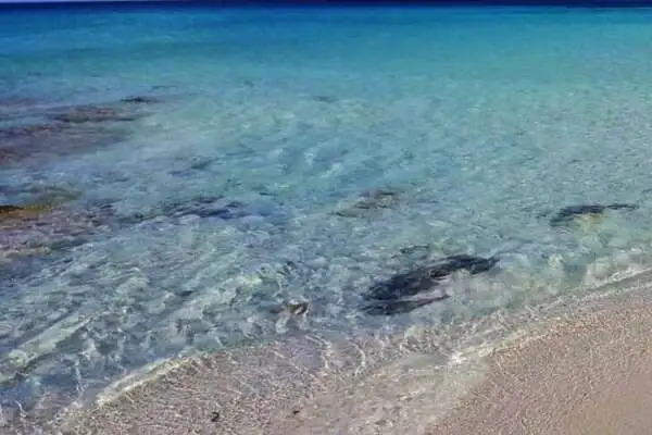 Sardaigne : Hôtel Micalosu