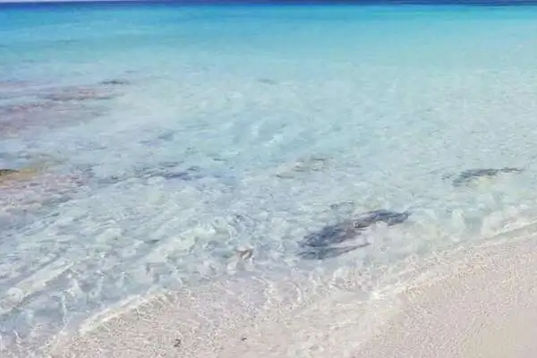 Sardaigne : Hôtel Micalosu