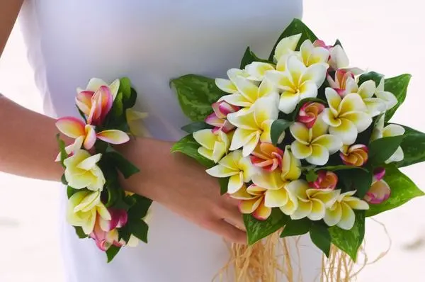 Seychelles : Hôtel Four Seasons Resort Seychelles