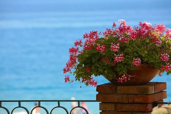 Sicile et Italie du Sud : Hôtel Caparena Hotel