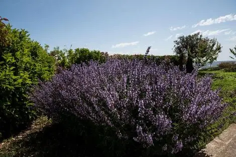 Sejour La Dimora Di Spartivento, Signature Collection 3* Sicile et Italie du Sud Palerme
