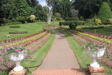 Jardin Botanique de Peradeniya