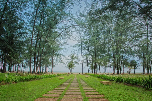 Thailande : Hôtel Banyan Tree Phuket