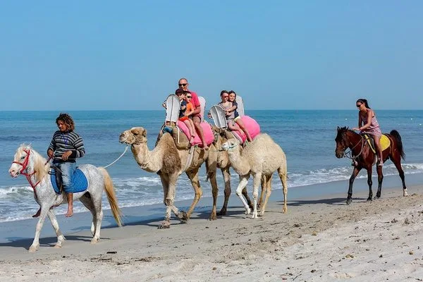 Tunisie : Hôtel Palm Beach Club