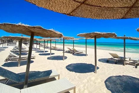 Tunisie : Hôtel Zenon Hotel Djerba