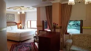Turquie-Kayseri, Hôtel Aruna Hotel