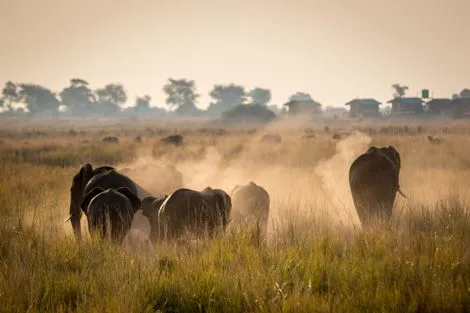Parc Chobe