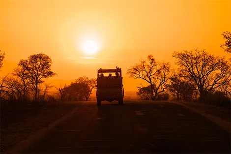 Parc Kruger