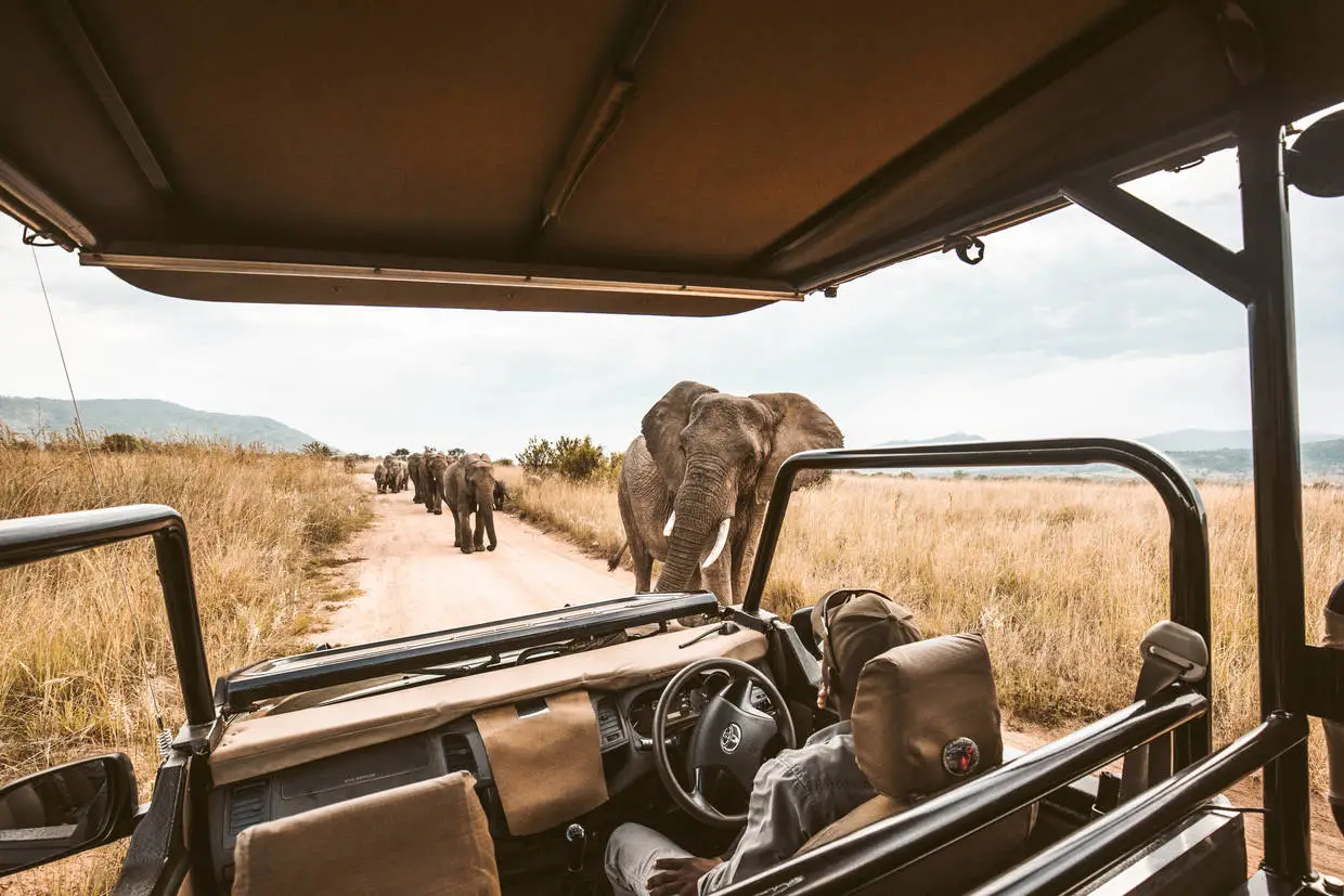 Afrique Du Sud