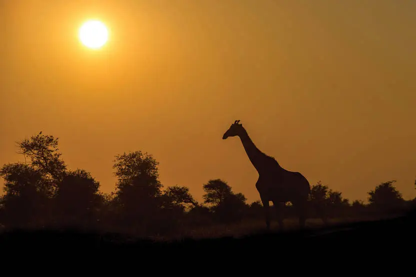 Circuit Essence d'Afrique du Sud et extension aux Chutes Victoria