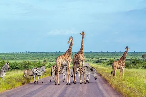 Autotour Clin d'Oeil Sud-Africain Le_cap Afrique Du Sud