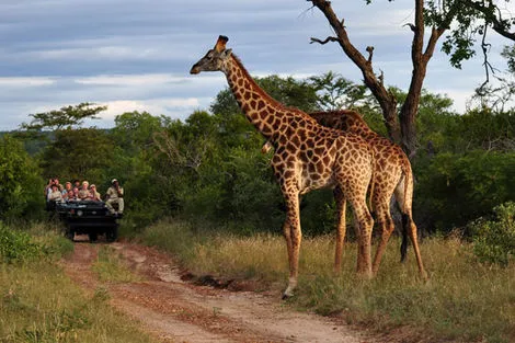 Circuit Découverte de l'Afrique du sud le_cap Afrique Du Sud