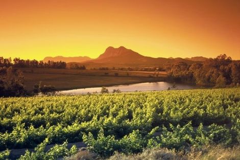 Route des vins