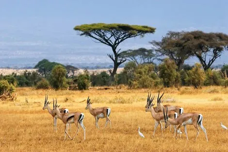Circuit L'Afrique du Sud Intimiste le_cap Afrique Du Sud