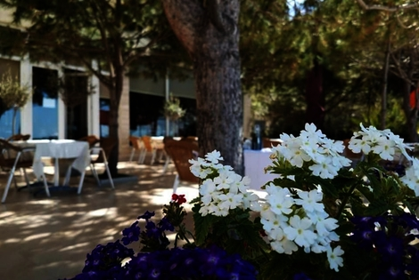 Hôtel Edart durres ALBANIE