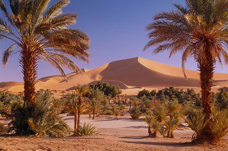 Vallée de Saoura