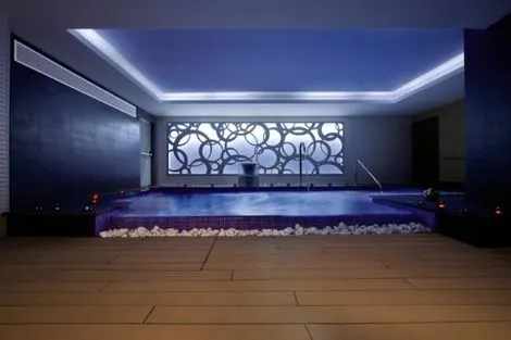 Hôtel Melia Costa del Sol 4* photo 8
