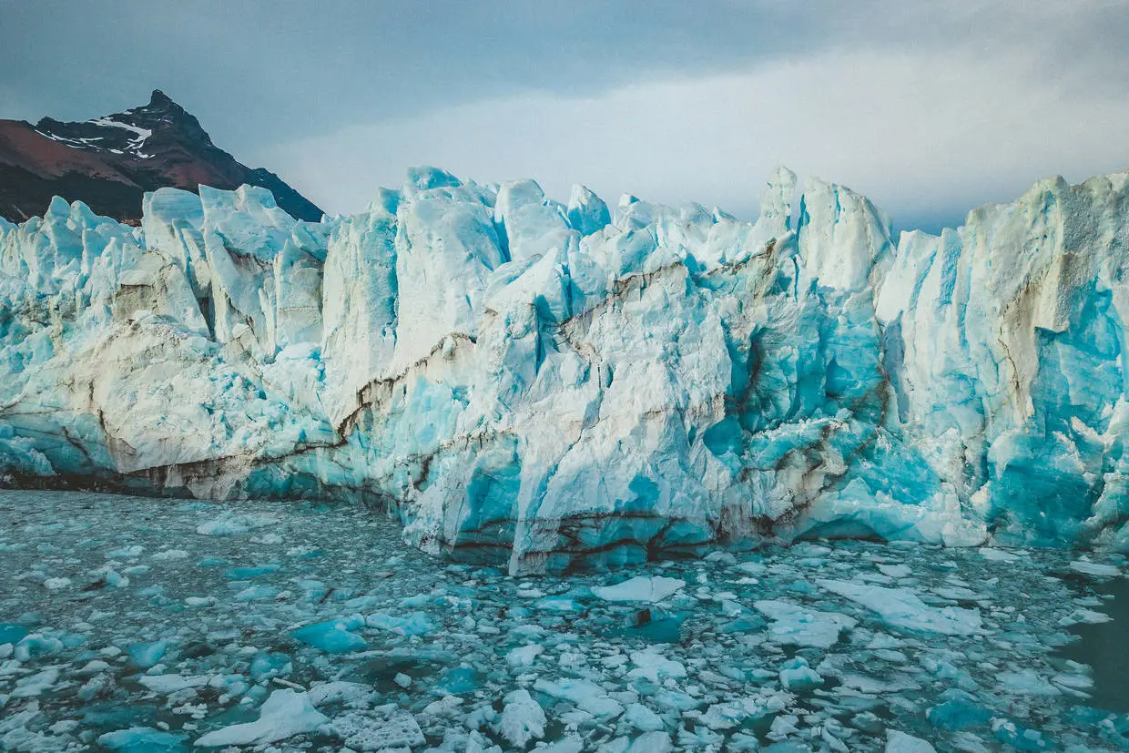 Argentine