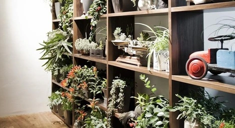 Hôtel Daniel Vienna vienne AUTRICHE