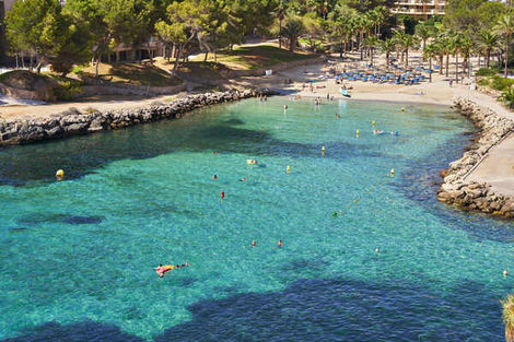 Hôtel Adult Only Globales Cala Vinas 4*