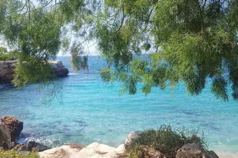 Baleares : Hôtel BJ Playamar & Apartamentos