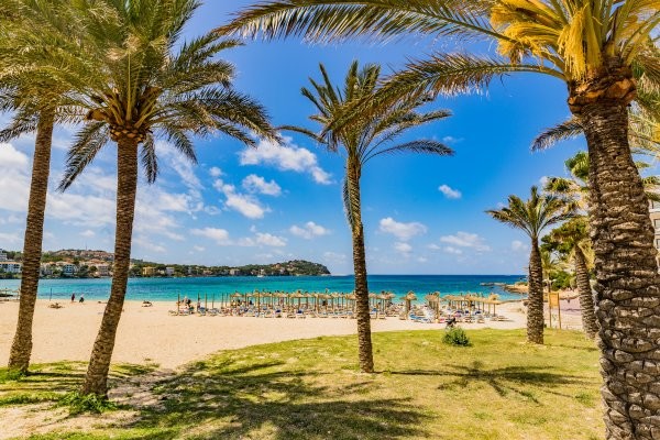 Plage - Hôtel Globales Playa Santa Ponsa 3* Majorque (palma) Baleares