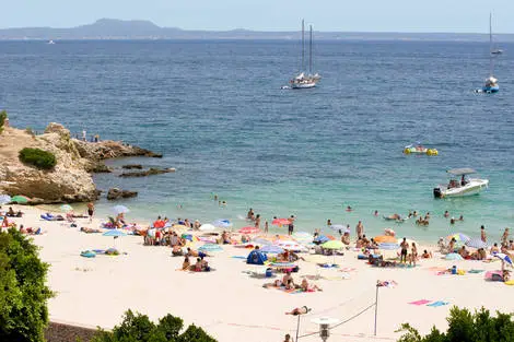 Hôtel Palia Tropico Playa palmanova Baleares