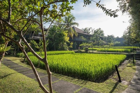 Autres - Ananda Cottages 3* Denpasar Bali