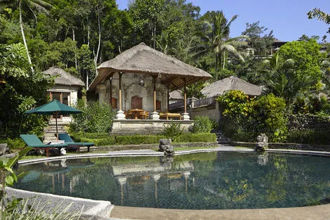 Ayung villa