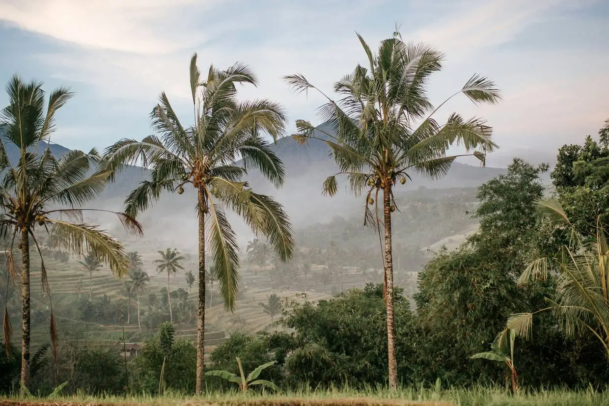 Bali
