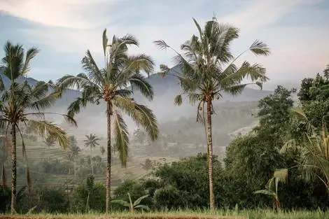 Circuit Sur la route des îles : Ubud, Candidasa et Lombok