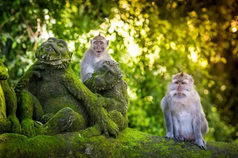 Combiné circuit et hôtel Bali : combiné Ubud & plage : 5 nuits Ubud & 4 nuits Sanur - Hôtels Supérieurs denpasar Bali