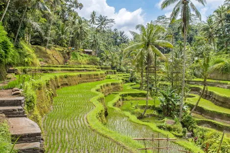 Combiné hôtels Jungle, Océan et Sable de Bali denpasar Bali