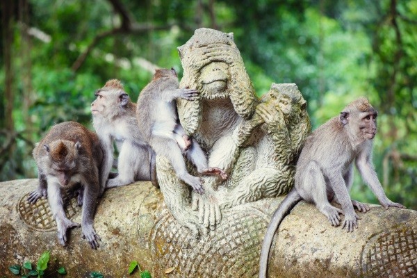 Ubud