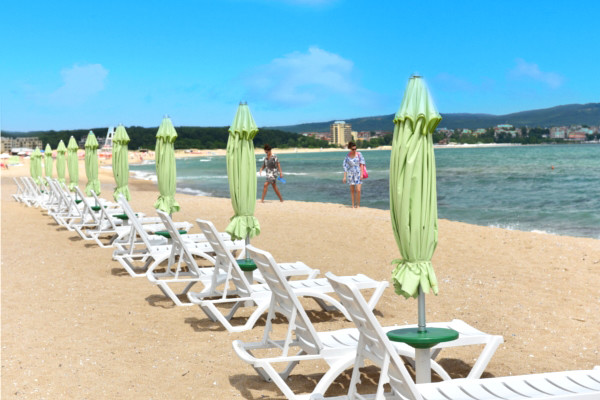 plage - Forest Beach